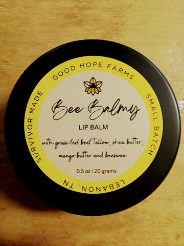 Bee Balmy Lip Balm